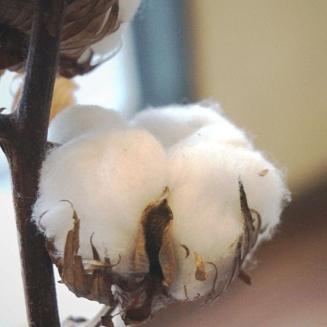 お昼寝布団の中綿の上手な選び方 - 睡眠屋