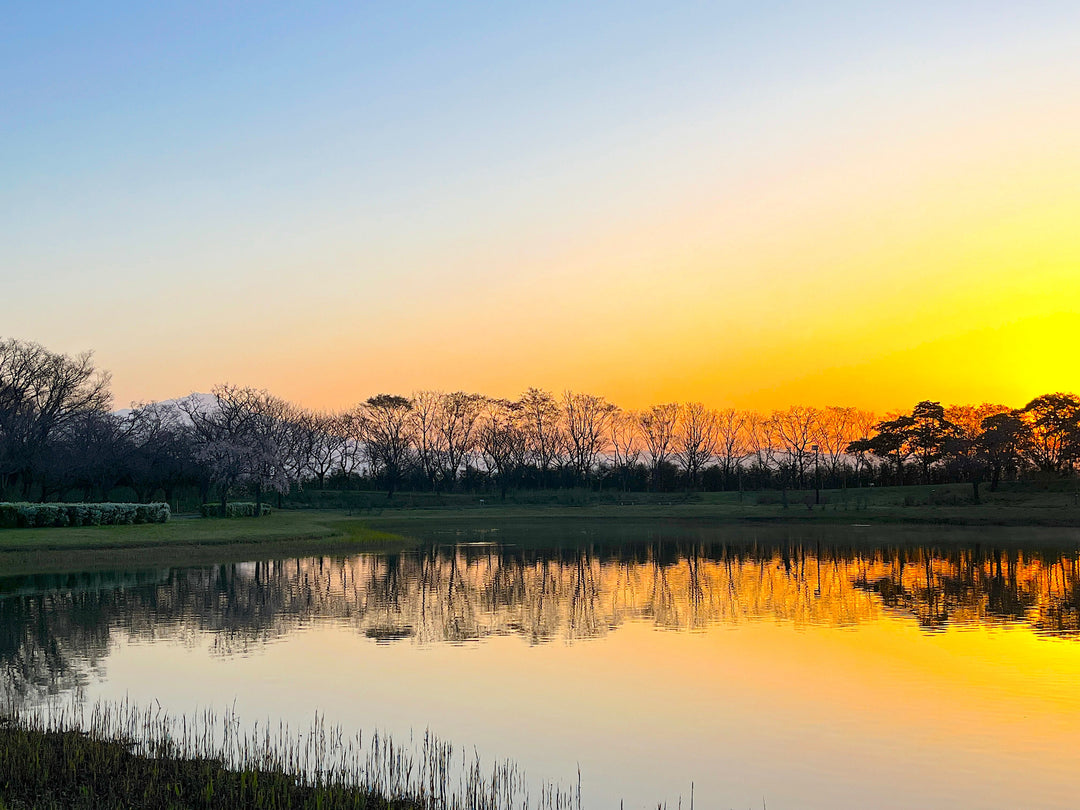 布団のホテル - 睡眠屋