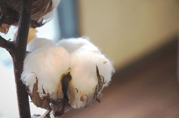 オーダーカバーの生地素材イメージ画像。(綿花)