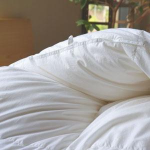 ゲスト(合掛け) - 睡眠屋