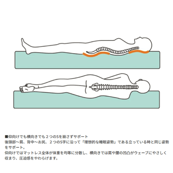 マニフレックス＿エコサンドロ ＿エリオセル＿寝心地＿S字サポート＿ 睡眠屋