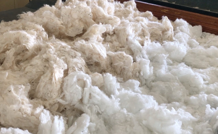 睡眠屋のお昼寝布団で使用する、ブレンド綿（インド綿70％・ポリエステル30％）のイメージ画像