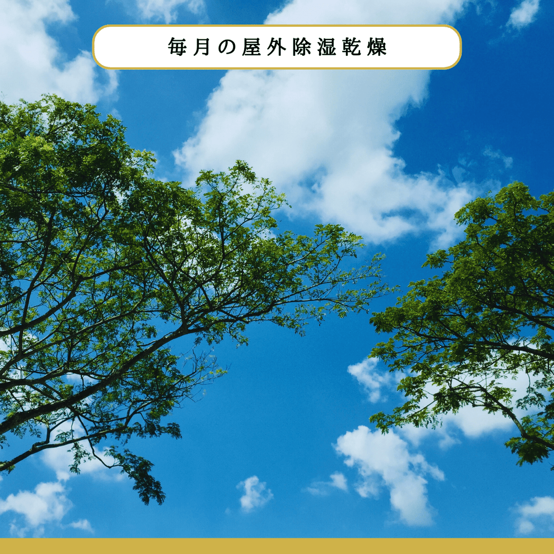 布団のホテル（ロングステイ・プレミアム） - 睡眠屋