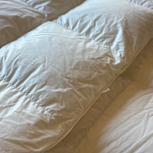 ゲスト（本掛け）