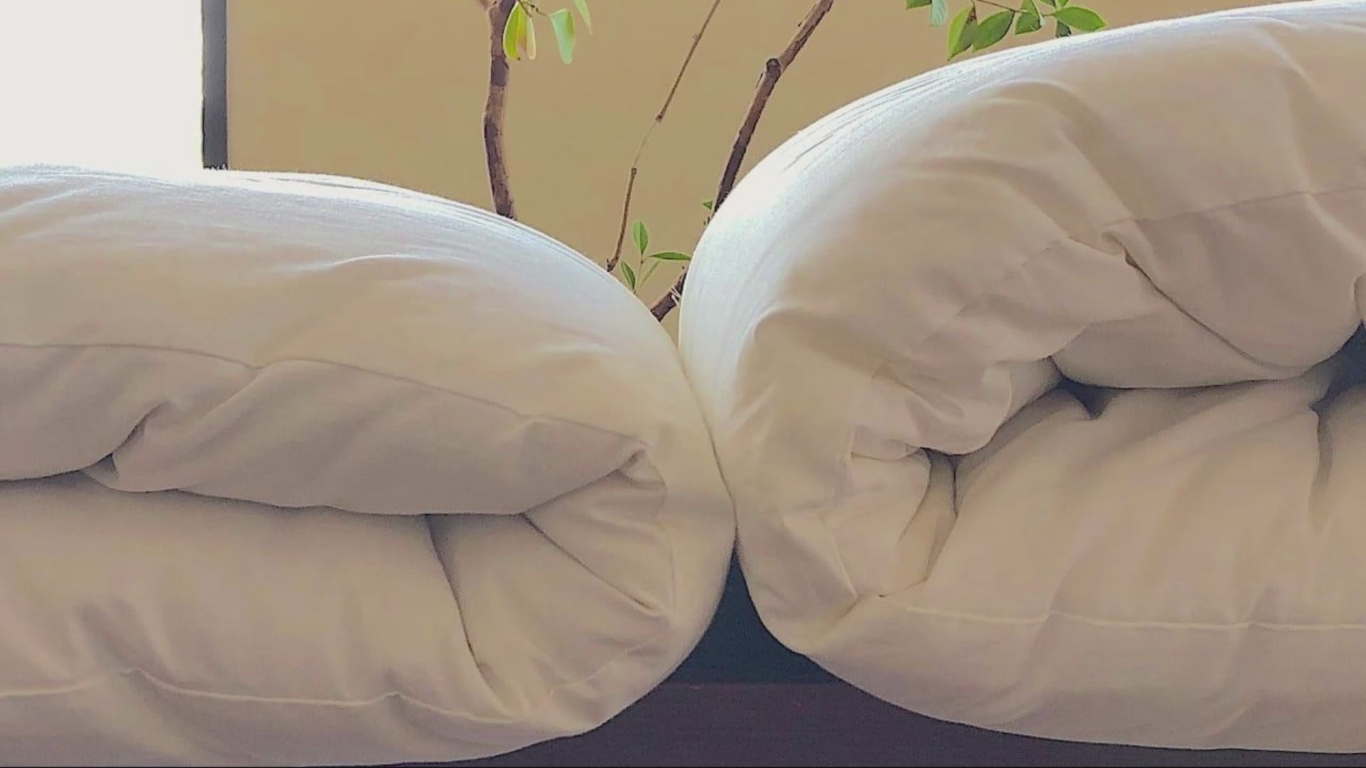 保育園用お昼寝布団｜指定サイズオーダー対応｜選べる中綿4種類– 睡眠屋